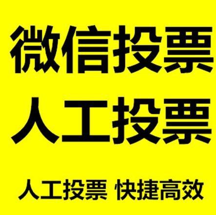 盘锦市投票活动拉票能被查出来吗？如何操作能不被发现？